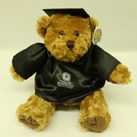 Graduation Bear