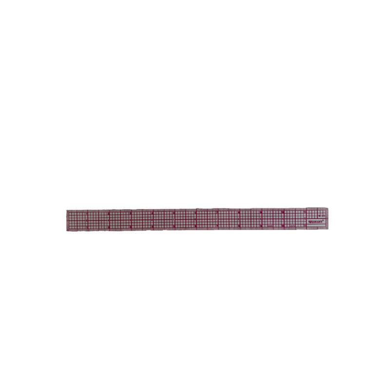 12" Graph Ruler (SKU 11499480195)
