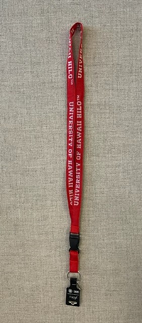 Lanyard