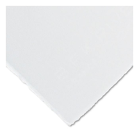 Paper Rives BFK White 22" X 30"