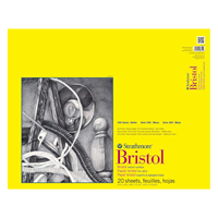 Bristol Paper Pad Series 300, Regular, 19" x 24"
