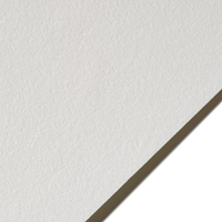 Lenox100 White  22.5" x 35"