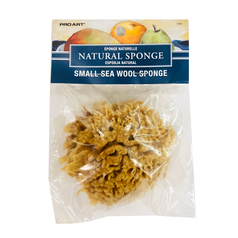 Sponge Sea Wool - Small (SKU 11590033133)
