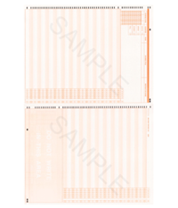 Mark Reflect Scantron (500 Sheets)