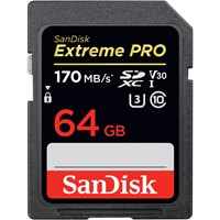 SanDisk 64GB SD Card