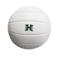 Volleyball H Official