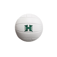 Volleyball H Mini