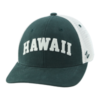 Zephyr Harvest 3D Hawai'i Adjustable Snapback Hat