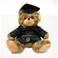 Plush Graduation Bear 10"