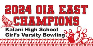 Vinyl Banner 6' x 3' - without grommets