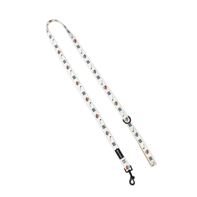Ports + Paws Leash Vintage Rainbow