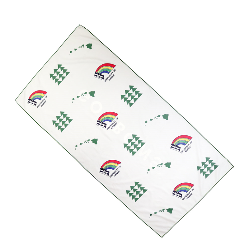 Ports + Paws Go 'Bows Beach Towel Vintage Rainbow