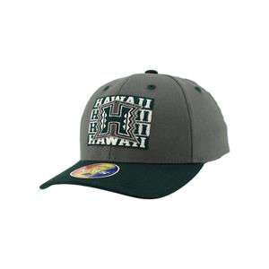 Youth Zephyr Frenzy Adjustable Snabpack Hat