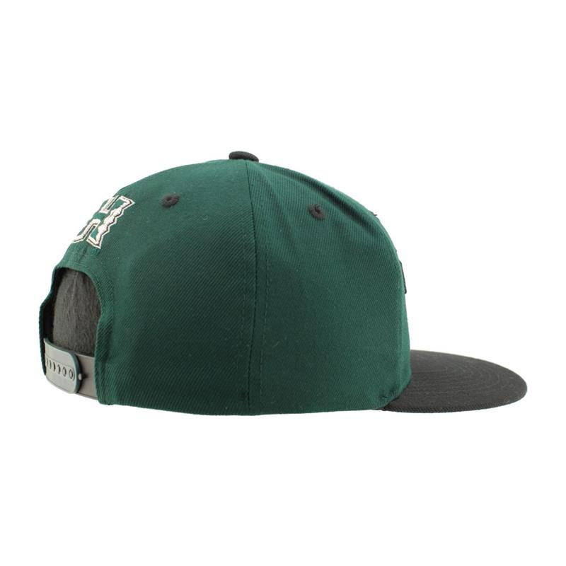 Zephyr Tokyodachi Z11 H Flatbill Snapback hat | University of
