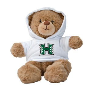 Plush Charlie Bear in a Hoodie 10"