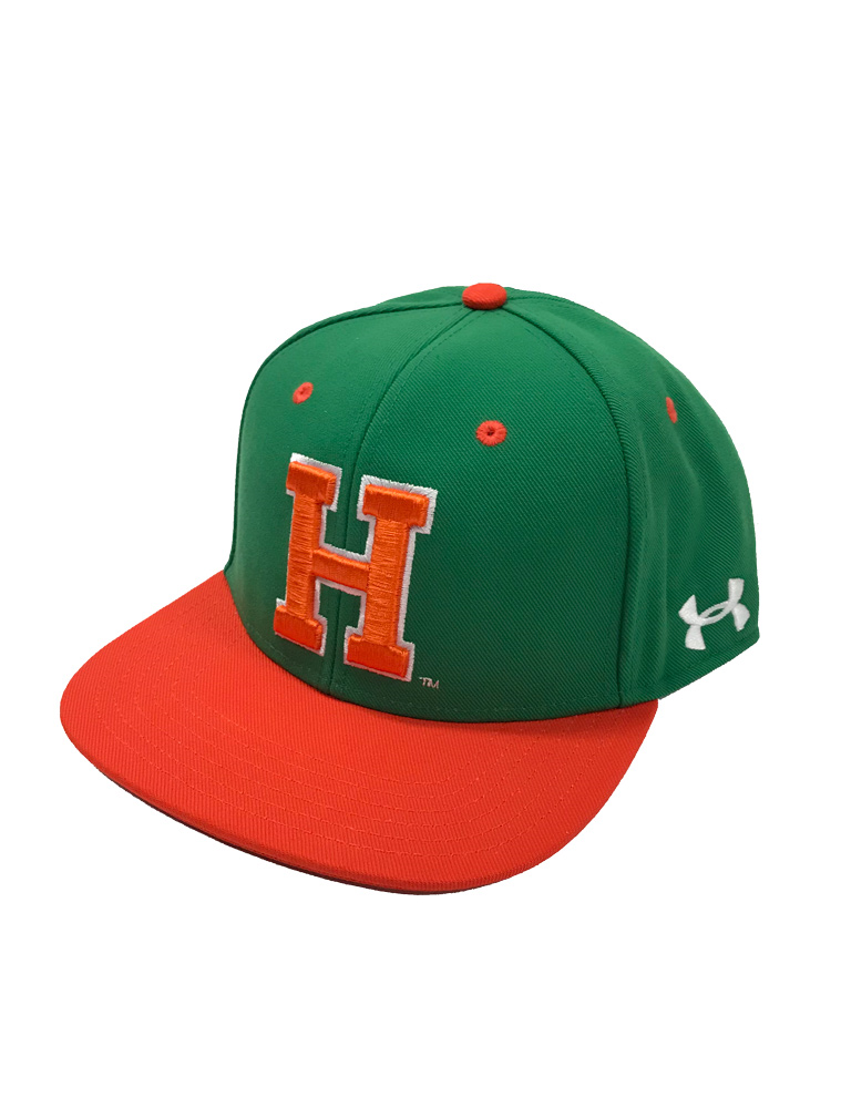 vintage baseball snapbacks