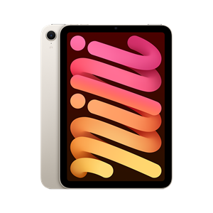 iPad mini (2024) [Special Order]