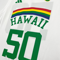 Adidas Swingman Mesh Vintage Volleyball Jersey