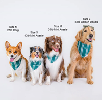 Ports + Paws Bandana H