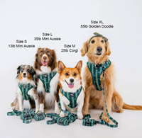 Ports + Paws Harness H
