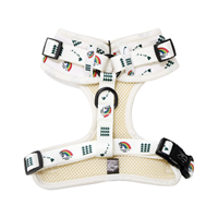 Ports + Paws Harness Vintage Rainbow