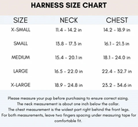 Ports + Paws Harness Vintage Rainbow