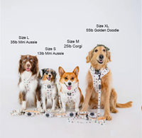 Ports + Paws Harness Vintage Rainbow