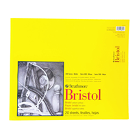 Bristol Paper Pad Series 300, Regular, 14" x 17"