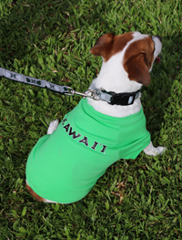 UH Hawai'i Pet Shirt