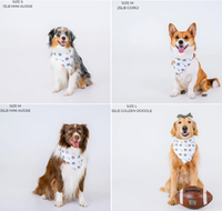 Ports + Paws Bandana Vintage Rainbow