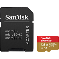 SanDisk microSD Card