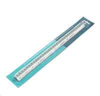 Triangular Scale 12"
