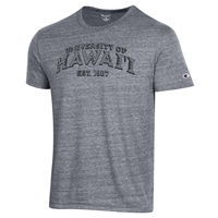 Champion Ultimate Triblend Shirt