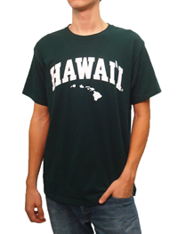 Core Arch Hawai'i Islands Shirt