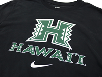 Nike Dri-Fit Cotton Longsleeve Shirt
