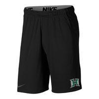 Nike H Logo Dri-Fit Hype Shorts