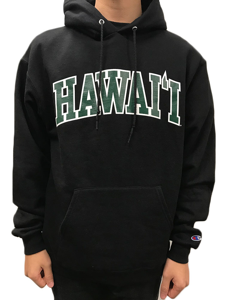 Champion Hoodie University 2024 jasterluis