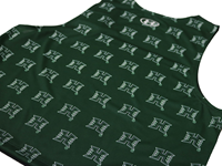 Women's Under Armour H All-Over Gameday Tank