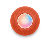 HomePod mini [Special Order]