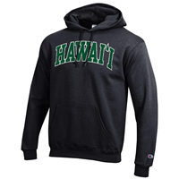 Champion Arch Hawai'i Distressed Hooded Sweatshirt