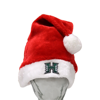 Holiday Thin Santa Hat