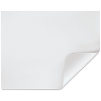 Strathmore Drawing Paper - 19'' x 24'' - Single Sheet