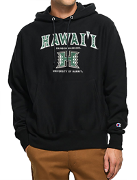 Champion Two-sided Rainbow Warrior Hoodie