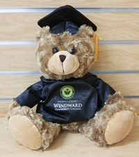 PLUSH GRAD BEAR